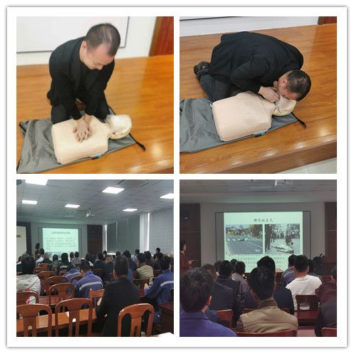 2025年全年免费资科大全