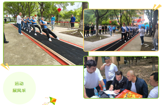 2025年全年免费资科大全