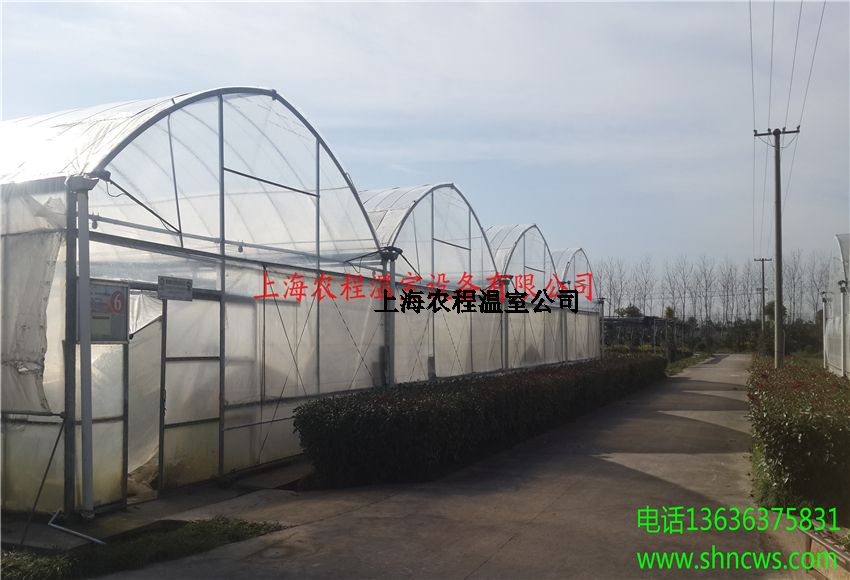 2025年全年免费资科大全